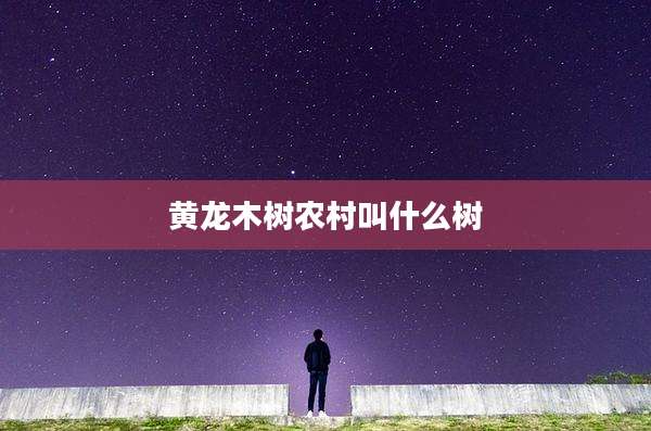 黄龙木树农村叫什么树