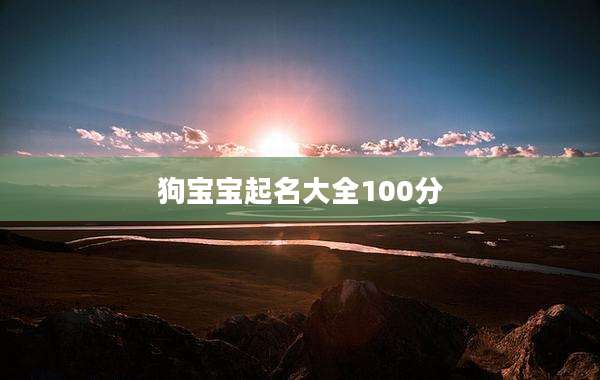 狗宝宝起名大全100分