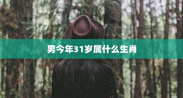 男今年31岁属什么生肖