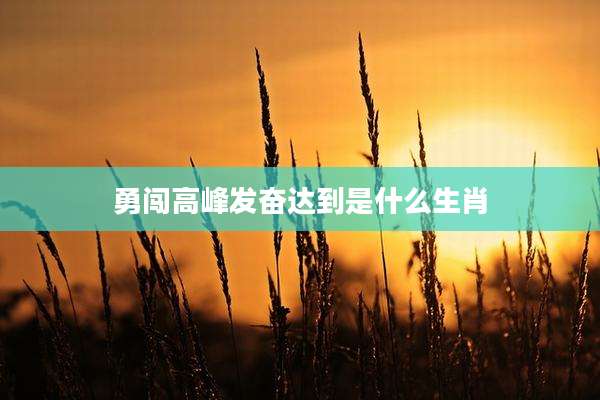 勇闯高峰发奋达到是什么生肖