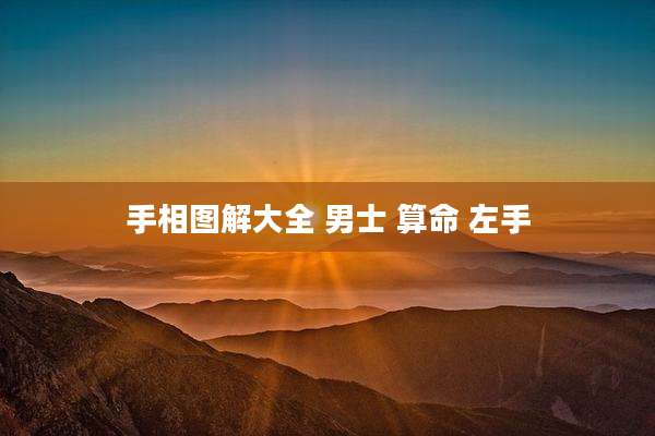 手相图解大全 男士 算命 左手