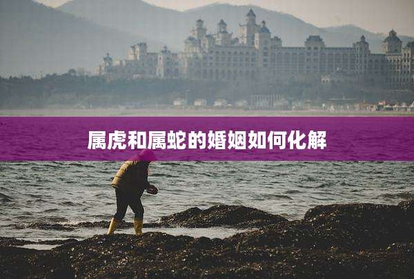 属虎和属蛇的婚姻如何化解