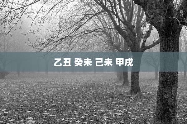 乙丑 癸未 己未 甲戌