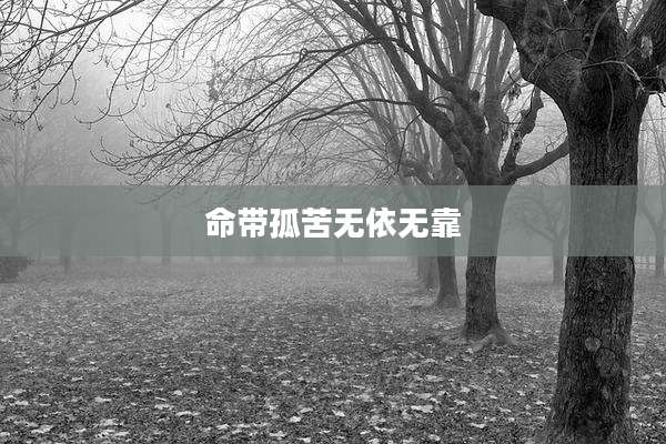 命带孤苦无依无靠