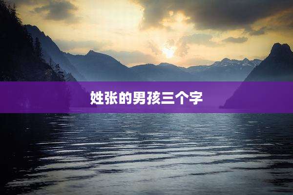 姓张的男孩三个字