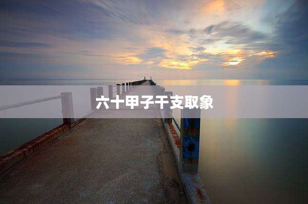 六十甲子干支取象