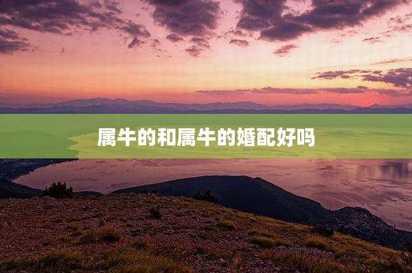 属牛的和属牛的婚配好吗