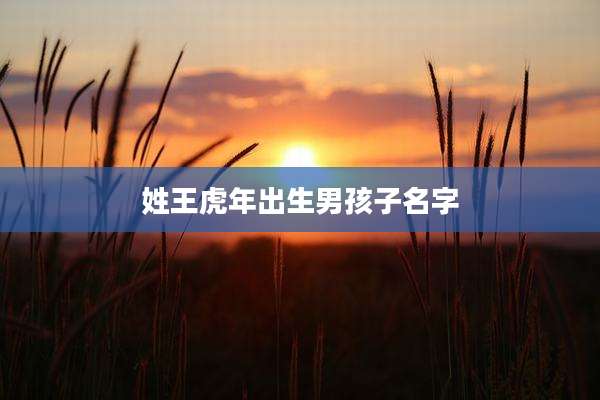 姓王虎年出生男孩子名字