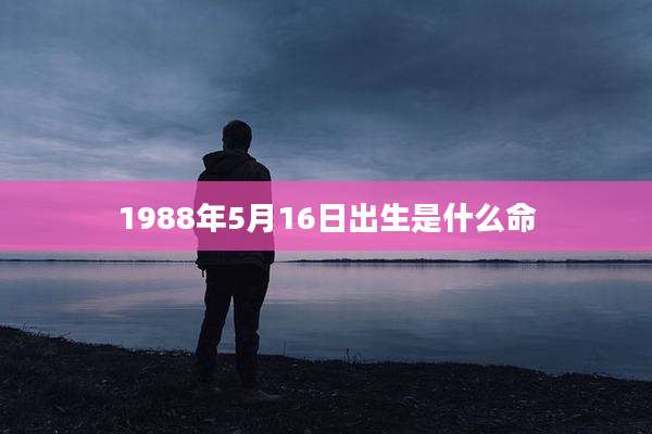 1988年5月16日出生是什么命