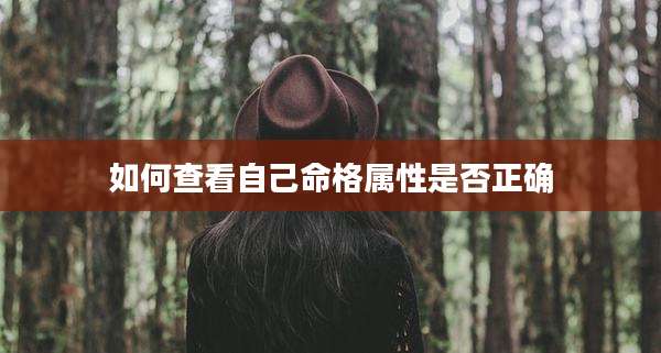 如何查看自己命格属性是否正确