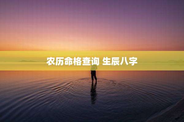 农历命格查询 生辰八字