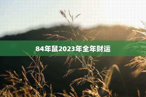 84年鼠2023年全年财运