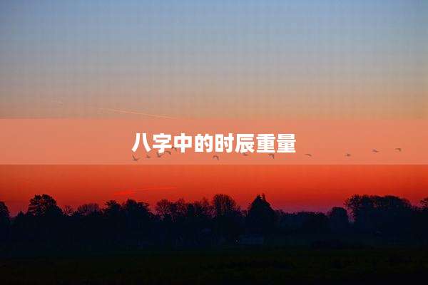 八字中的时辰重量