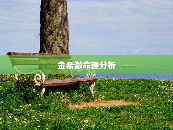 金希澈命理分析