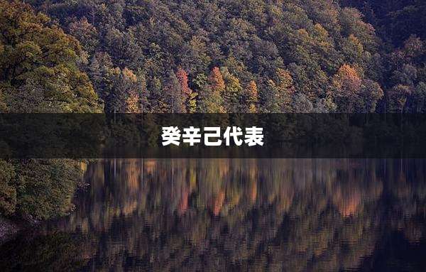 癸辛己代表