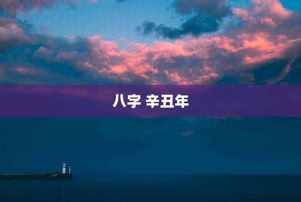 八字 辛丑年