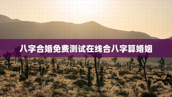 八字合婚免费测试在线合八字算婚姻