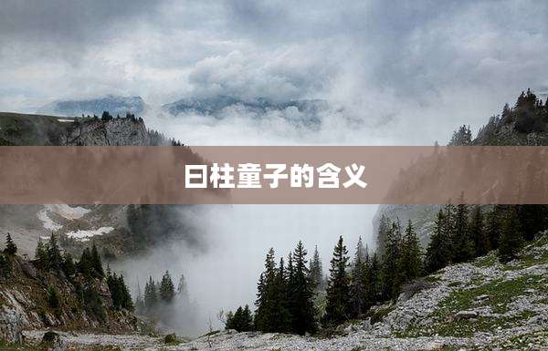 曰柱童子的含义