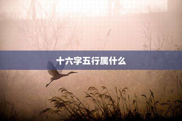 十六字五行属什么