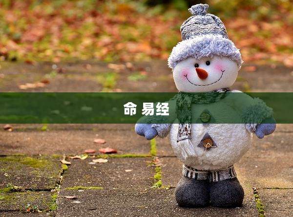 命 易经