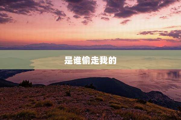 是谁偷走我的