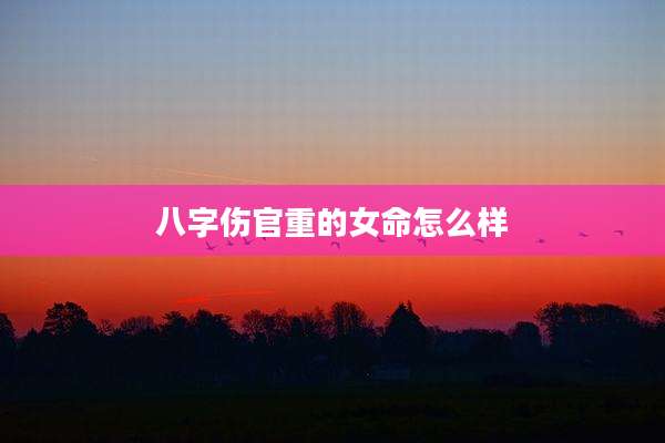 八字伤官重的女命怎么样