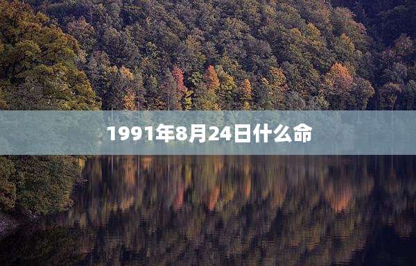 1991年8月24日什么命
