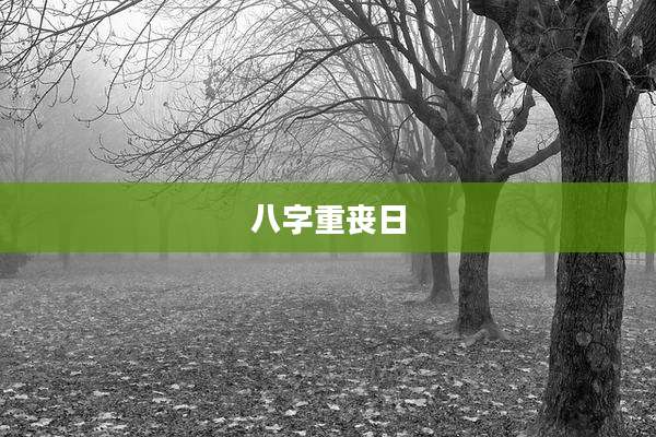 八字重丧日