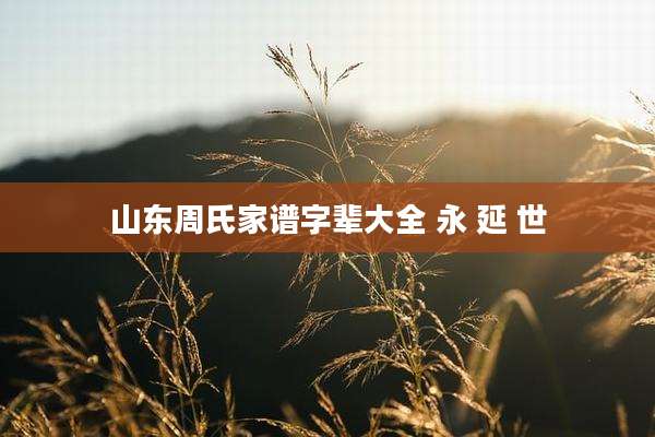 山东周氏家谱字辈大全 永 延 世