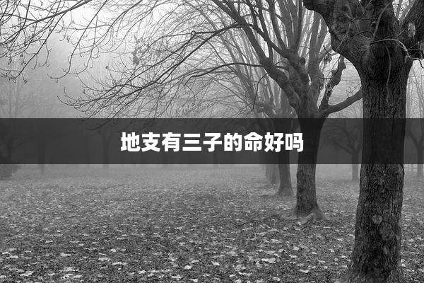 地支有三子的命好吗