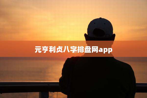 元亨利贞八字排盘网app