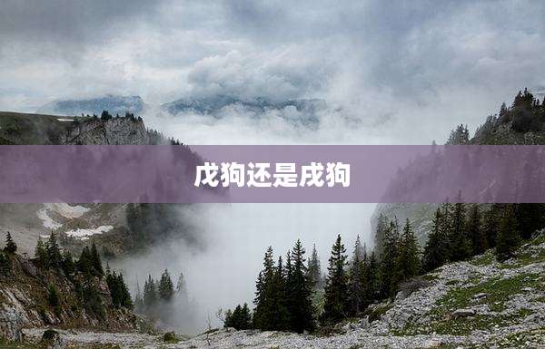 戊狗还是戌狗