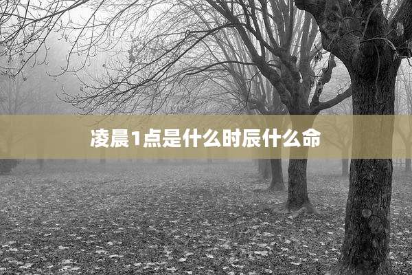 凌晨1点是什么时辰什么命