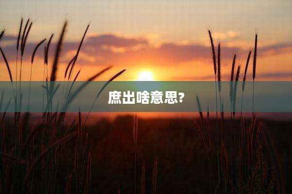 庶出啥意思?