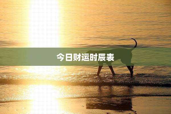 今日财运时辰表