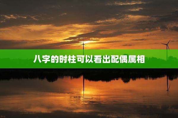 八字的时柱可以看出配偶属相