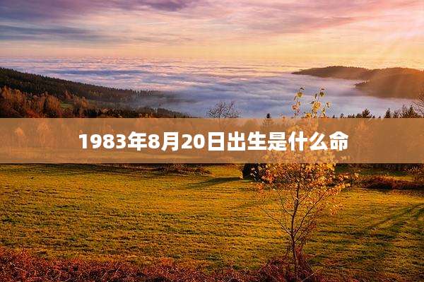 1983年8月20日出生是什么命