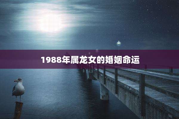 1988年属龙女的婚姻命运