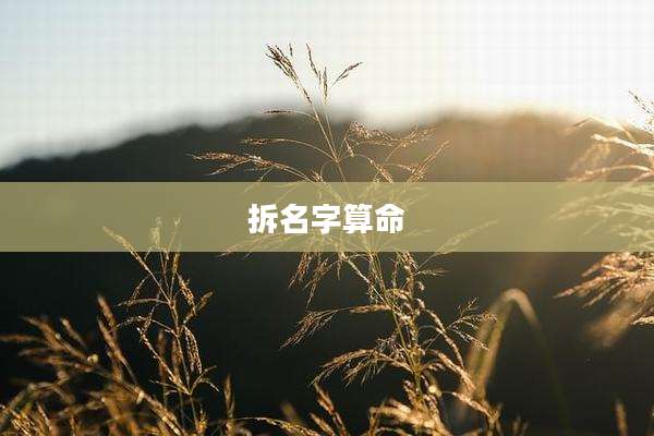 拆名字算命
