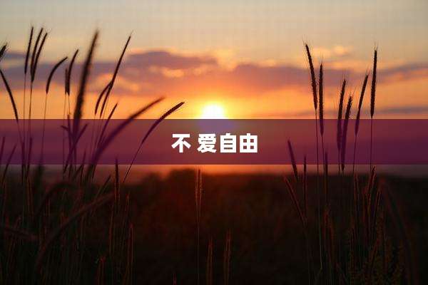 不 爱自由