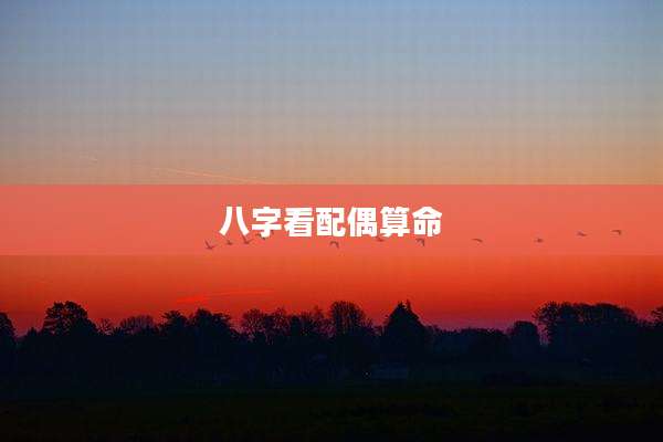 八字看配偶算命