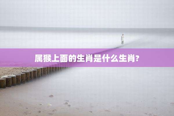 属猴上面的生肖是什么生肖?