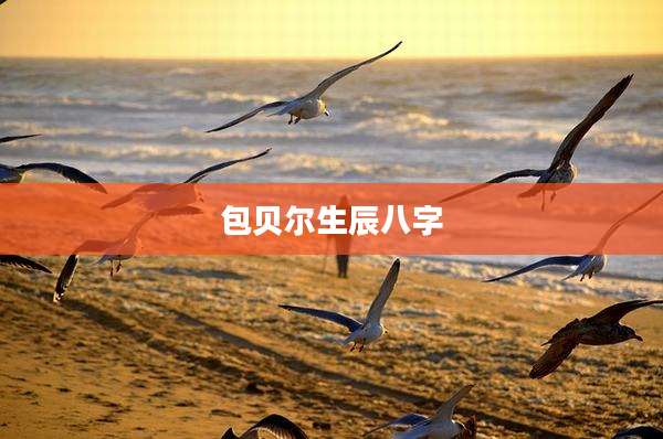 包贝尔生辰八字