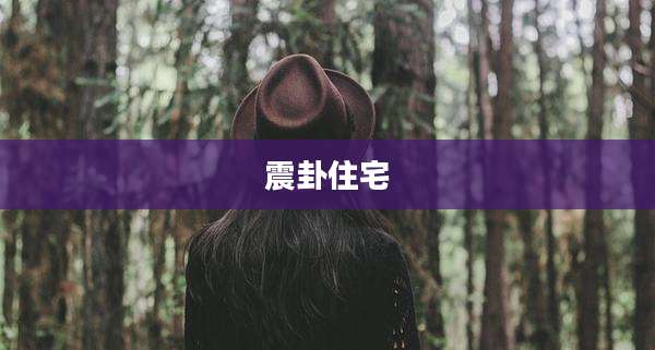 震卦住宅