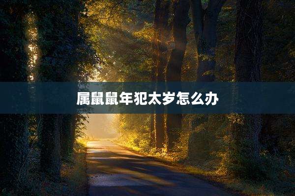 属鼠鼠年犯太岁怎么办