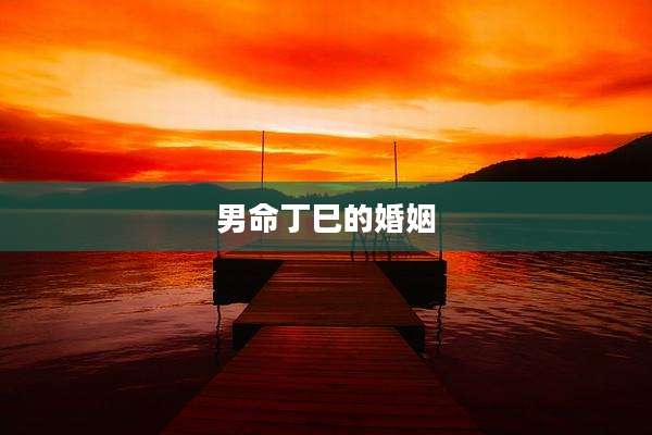 男命丁巳的婚姻