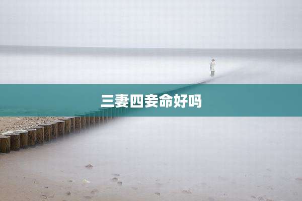 三妻四妾命好吗