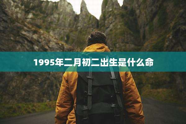 1995年二月初二出生是什么命