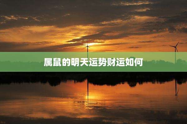 属鼠的明天运势财运如何