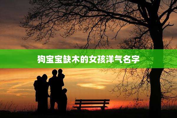 狗宝宝缺木的女孩洋气名字